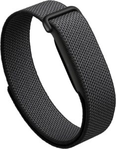 Google Fitbit Air
